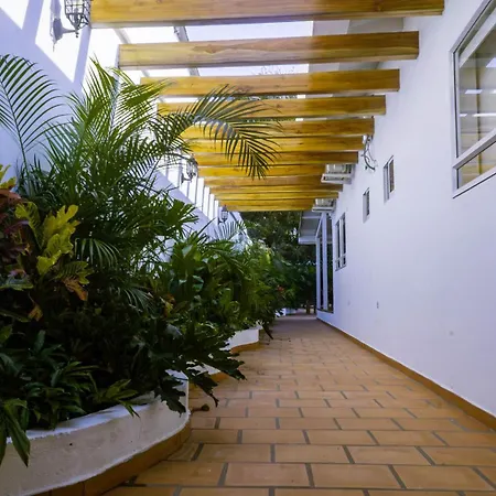 Guayacal Azul Cartagena