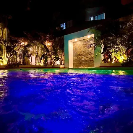Guayacal Azul Cartagena
